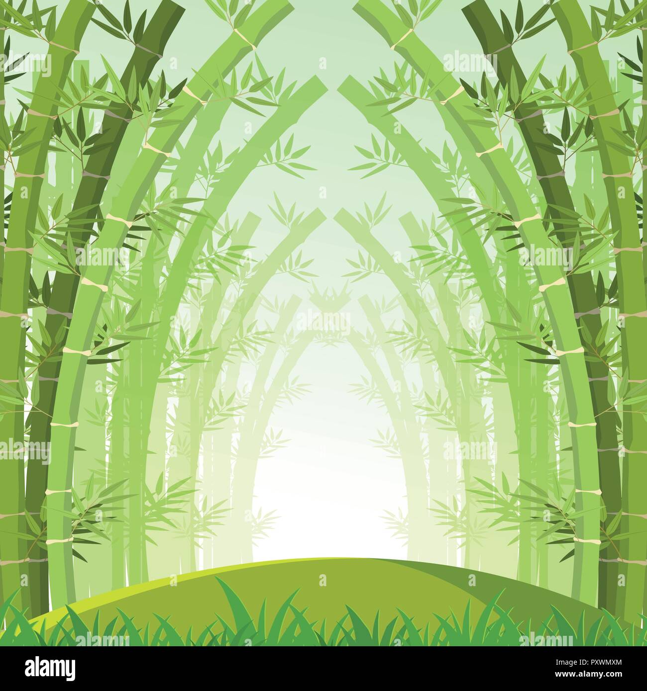 Background scene with green bamboo forest illustration Stock Vector Image &  Art - Alamy