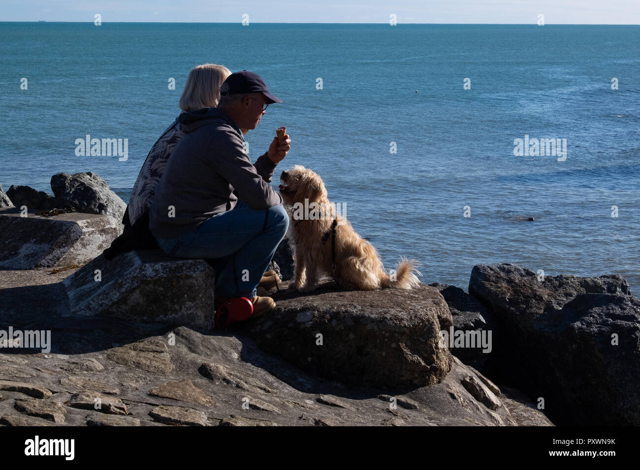 Older couple sitting on the rocks overlooking the sea eating an ice-cream cone with their hopeful looking terrier type dog looking on in hope. Stock Photo