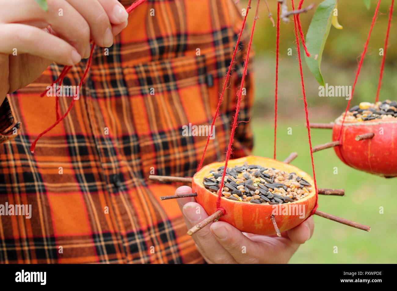Home Made Pumpkin Bird Feeders Pumpkins Being Filled With Seeds
