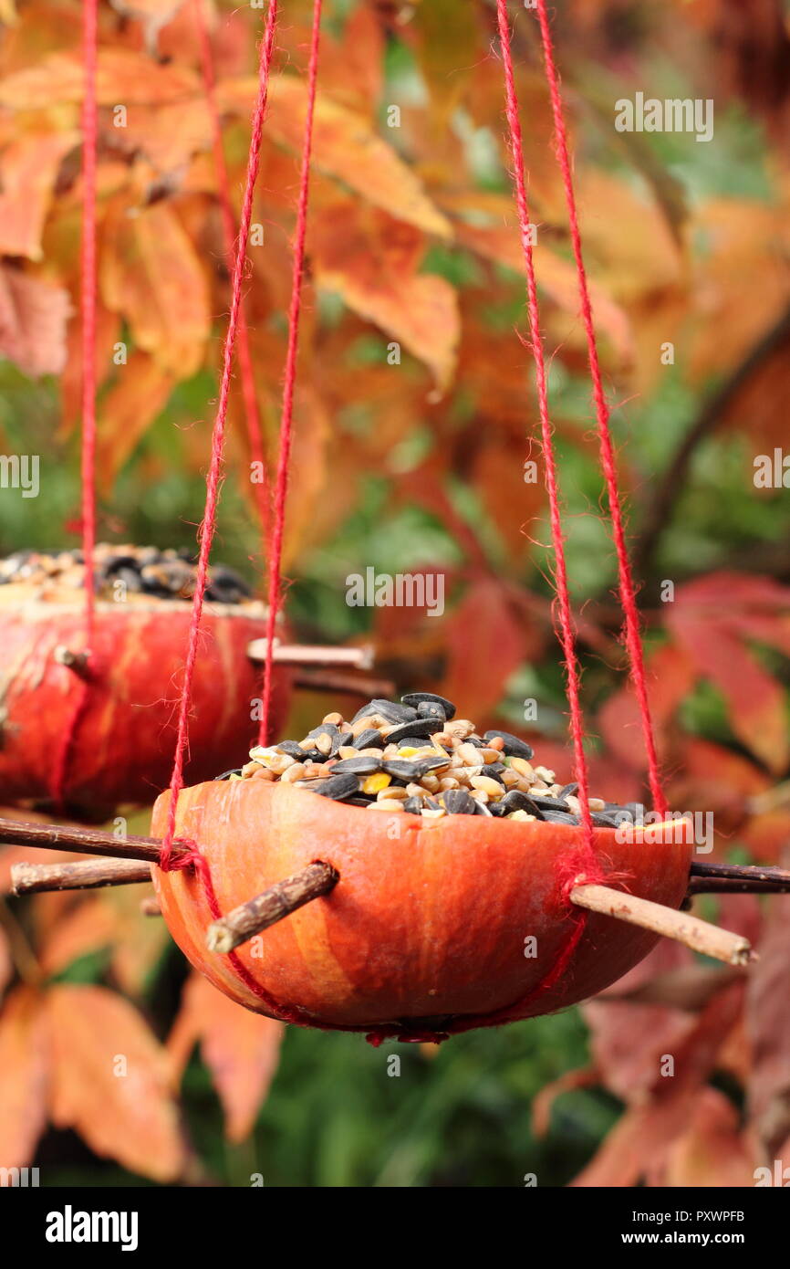 Home Made Pumpkin Bird Feeders Left Over Pumpkins Filled With
