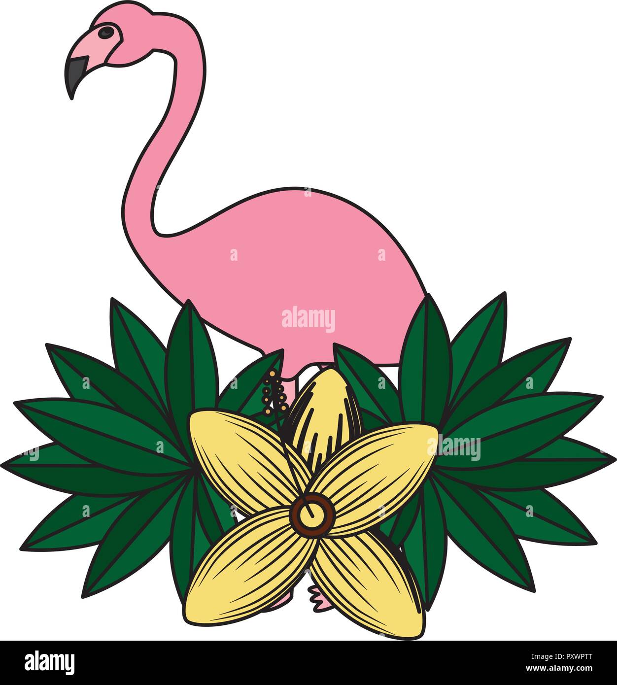 flamingo bird flower tropical summer vector illustration Stock Vector ...