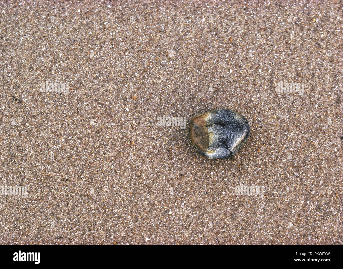 Kiesel auf braunem Sand Stock Photo