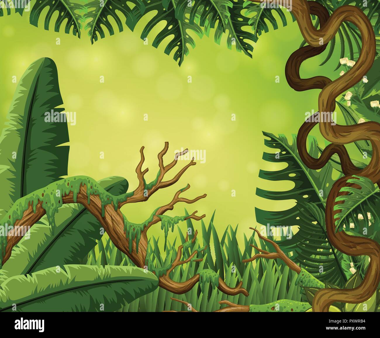 Background scene with trees in forest illustration Stock Vector Image ...
