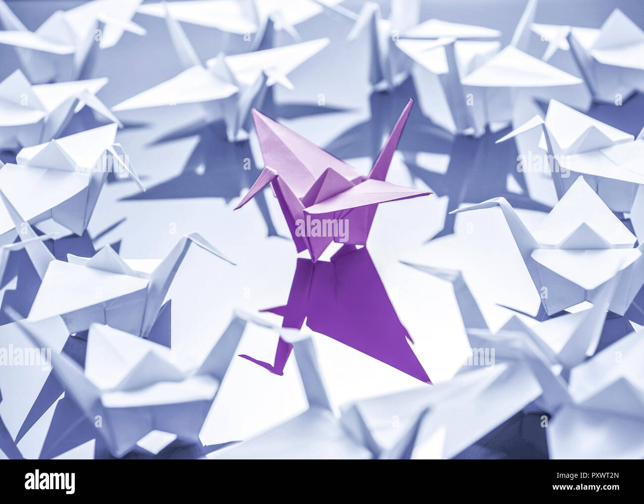 Origami, Voegel aus Papier gefaltet Stock Photo