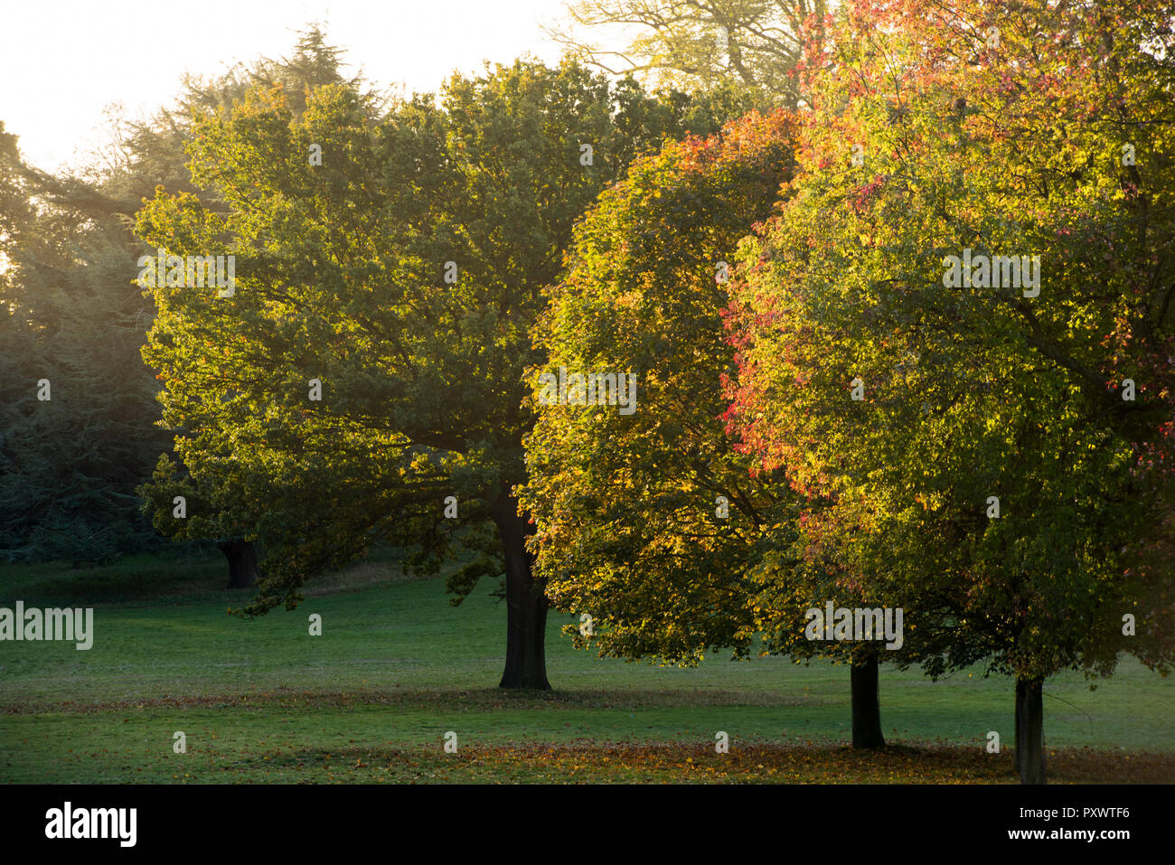 Crisp fall morning hi-res stock photography and images - Alamy