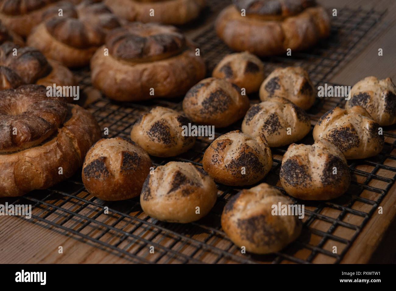 Freshly baked bread rolls and cottage loaves sitting on a rack to cool