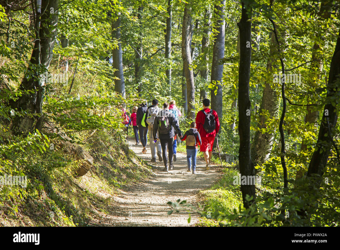 Group of people walking by hiking trail in forest Stock Photo