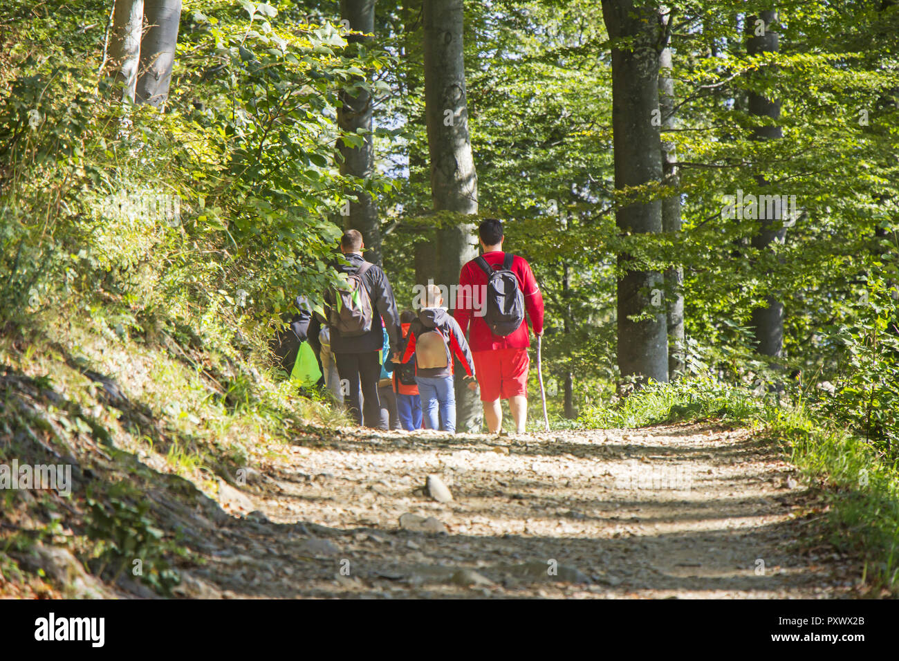 Group of people walking by hiking trail in forest Stock Photo