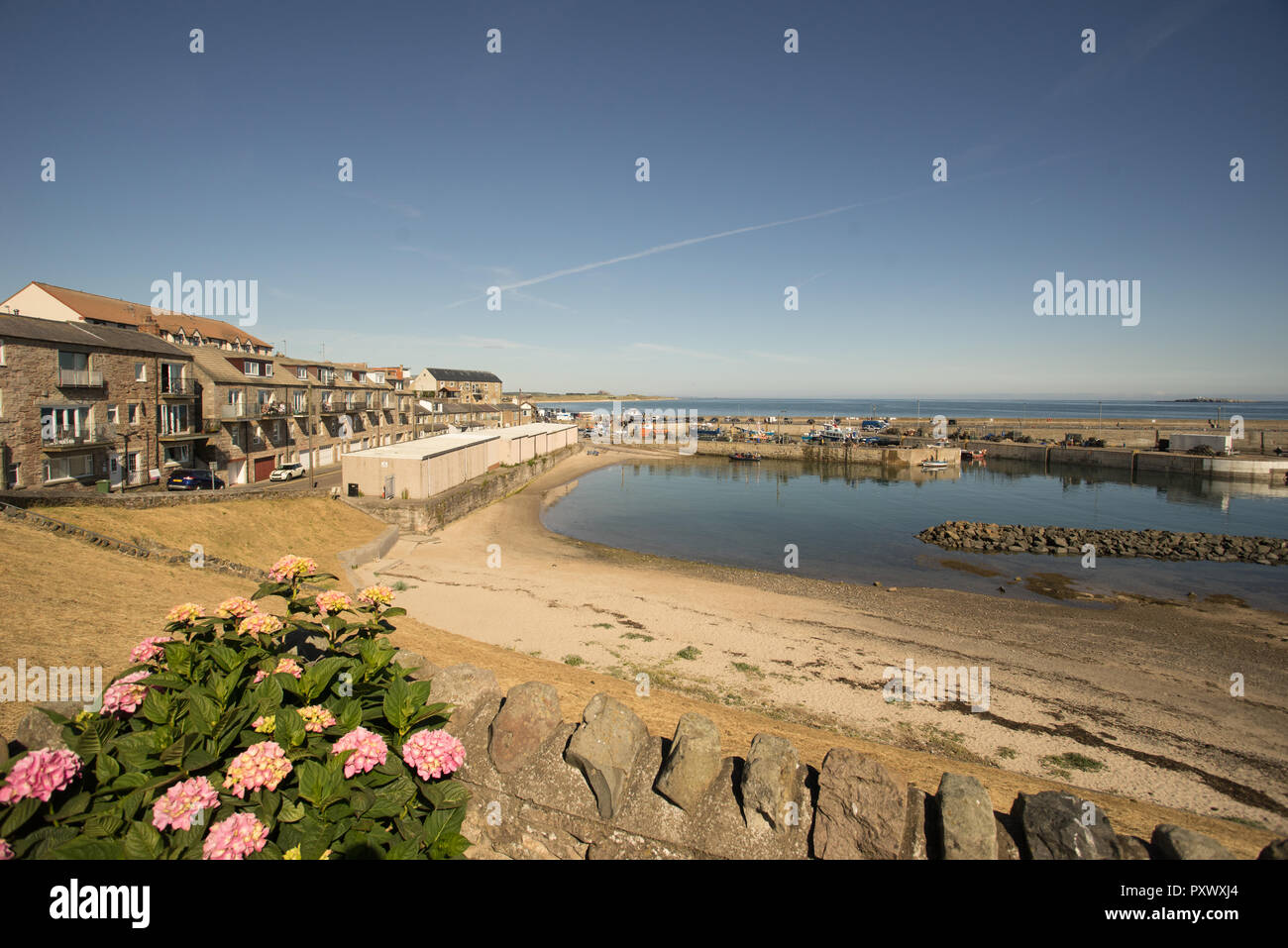Seahouses harbour, Northumberland, England Stock Photo