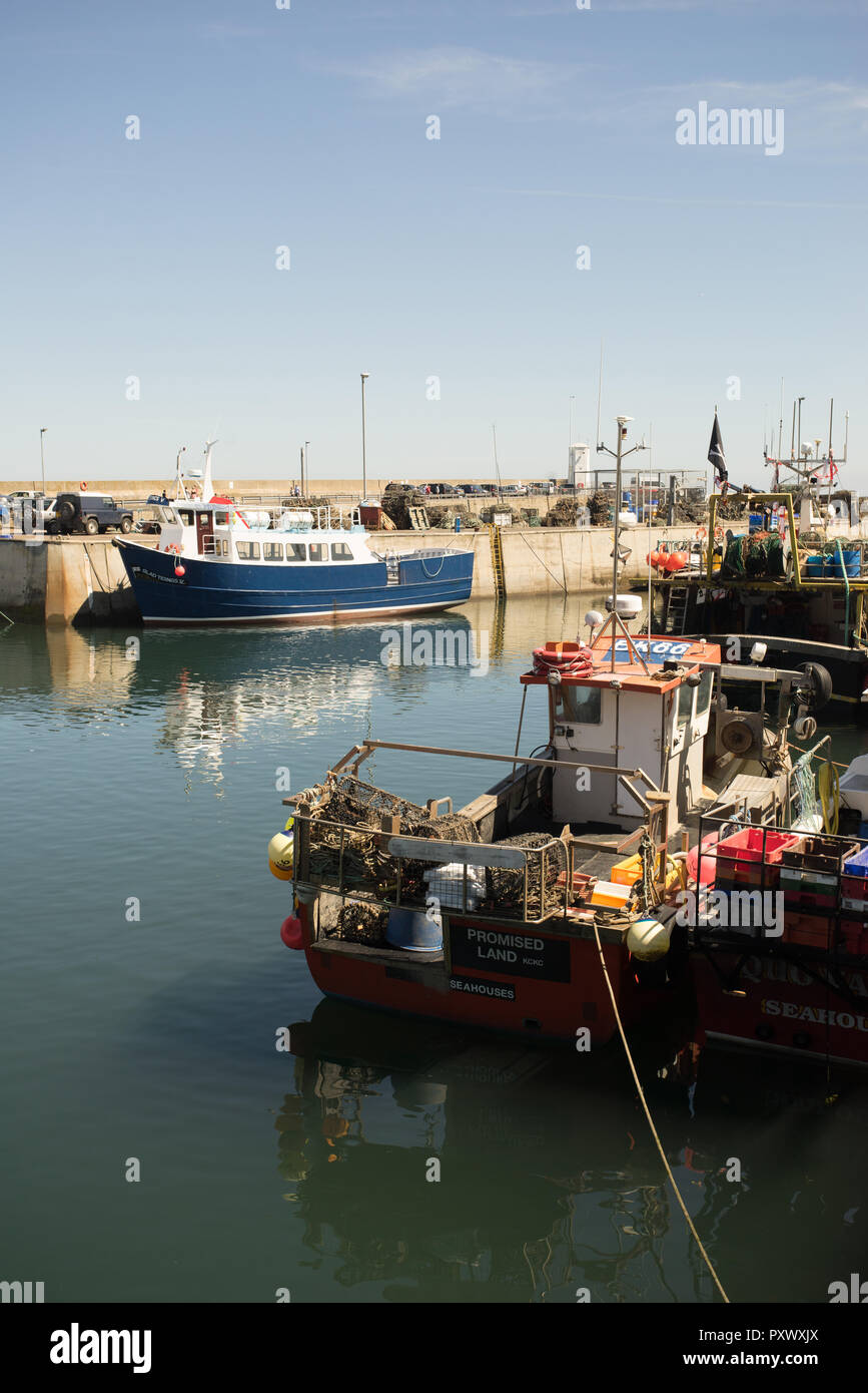 Evening sunlight at Seahouses Harbour, Northumberland, England Stock Photo