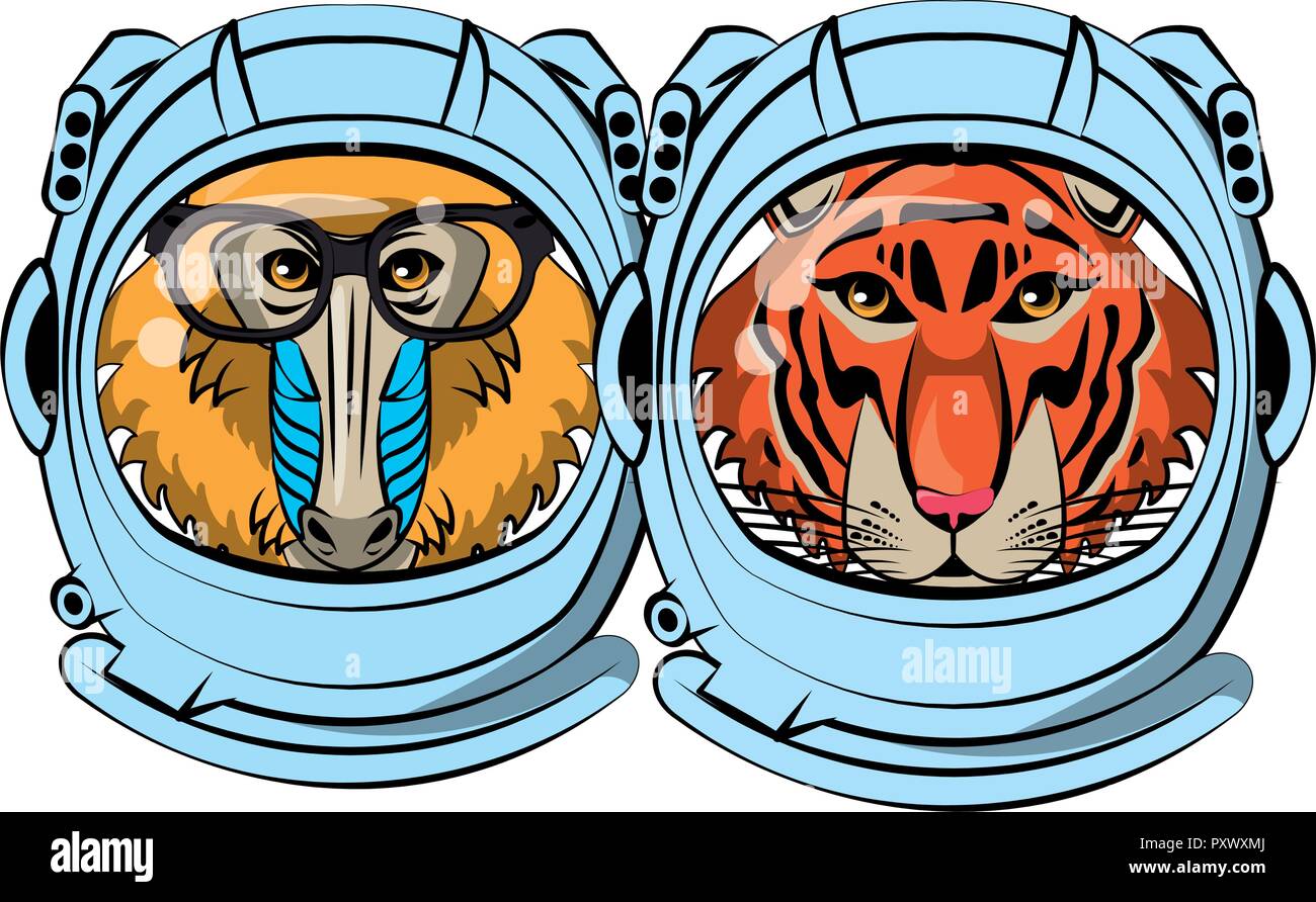 Mandrill and tiger face cool sketch Stock Vector