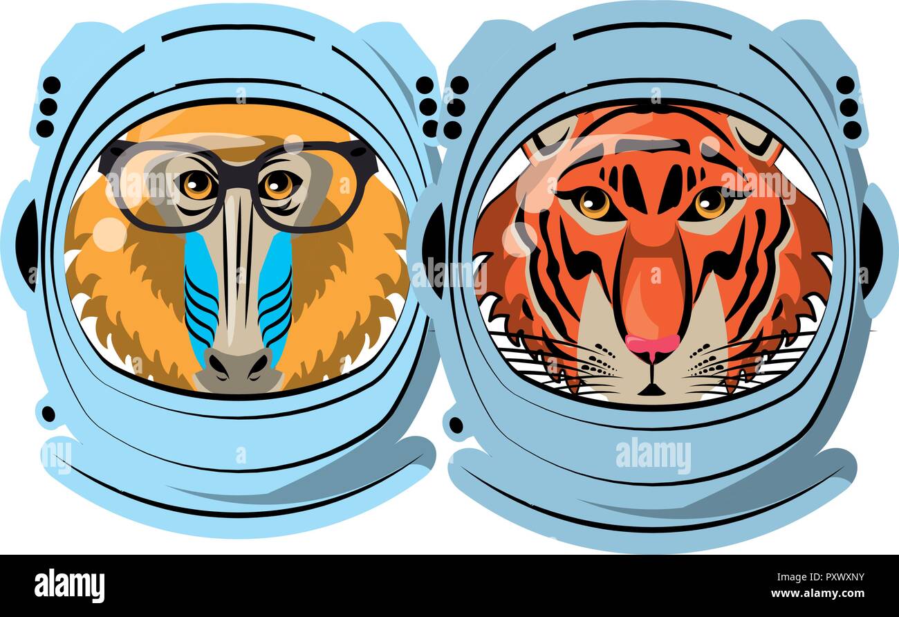 Mandrill and tiger face cool sketch Stock Vector