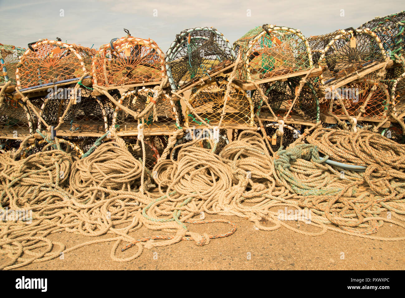 Lobster pots at Beadnell Harbour, Northumberland, England Stock Photo