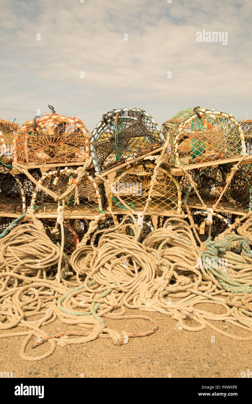 Lobster pots at Beadnell Harbour, Northumberland, England Stock Photo