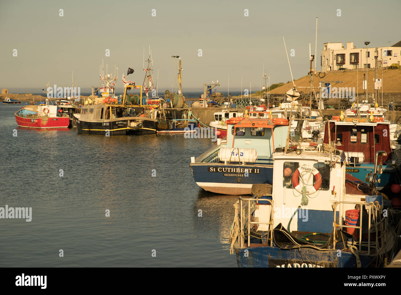 Evening sunlight at Seahouses Harbour, Northumberland, England Stock Photo
