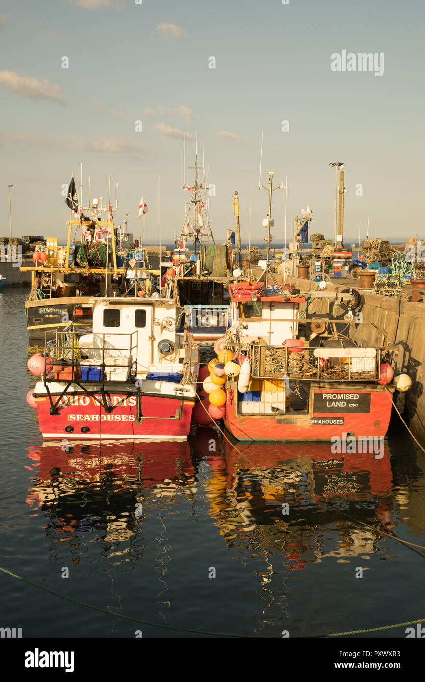Evening sunlight at Seahouses Harbour, Northumberland, England Stock Photo