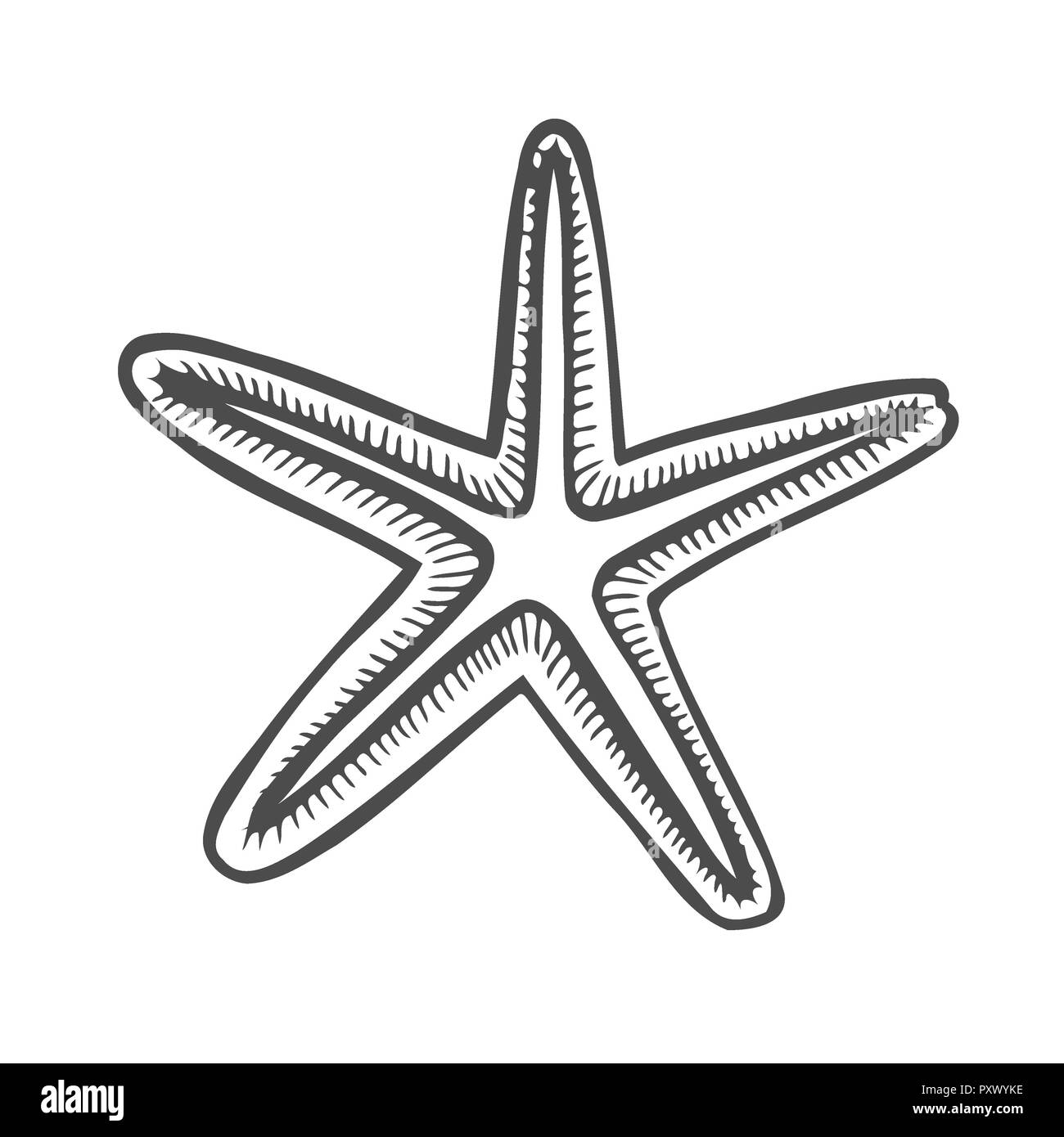 HOW TO DRAW STARFISH | Starfish Drawing Tutorial For Beginner | Step by  Step Tutorial - YouTube