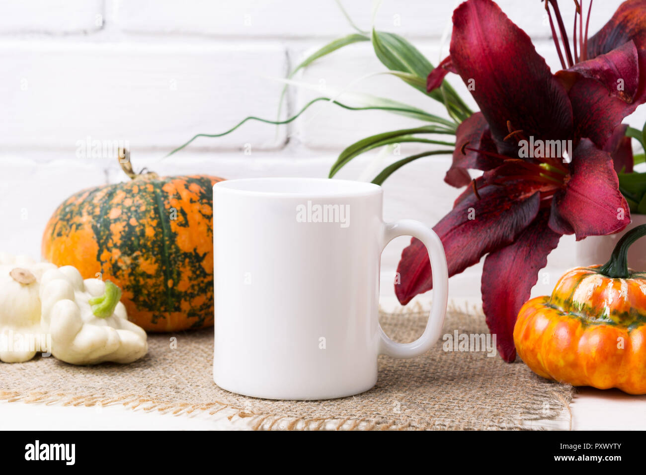 White coffee mug mockup with Thanksgiving fall orange pumpkin and red lily. Empty mug mock up for design promotion. Stock Photo