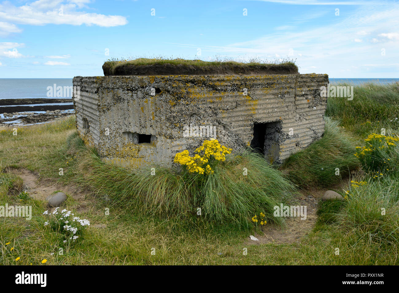 A second world war pillbox on the shore at Embleton. Stock Photo
