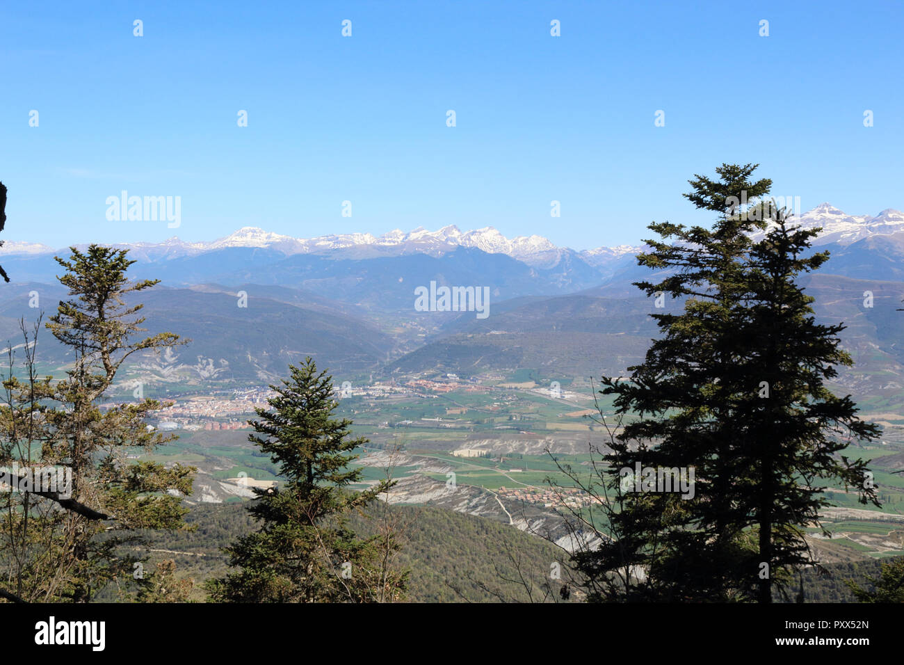 Fir and pine trees on the Peña Oroel mount, with the snow-clad Pyrenees as background, a wide valley with blue sky and some bushes, in Aragon, Spain Stock Photo