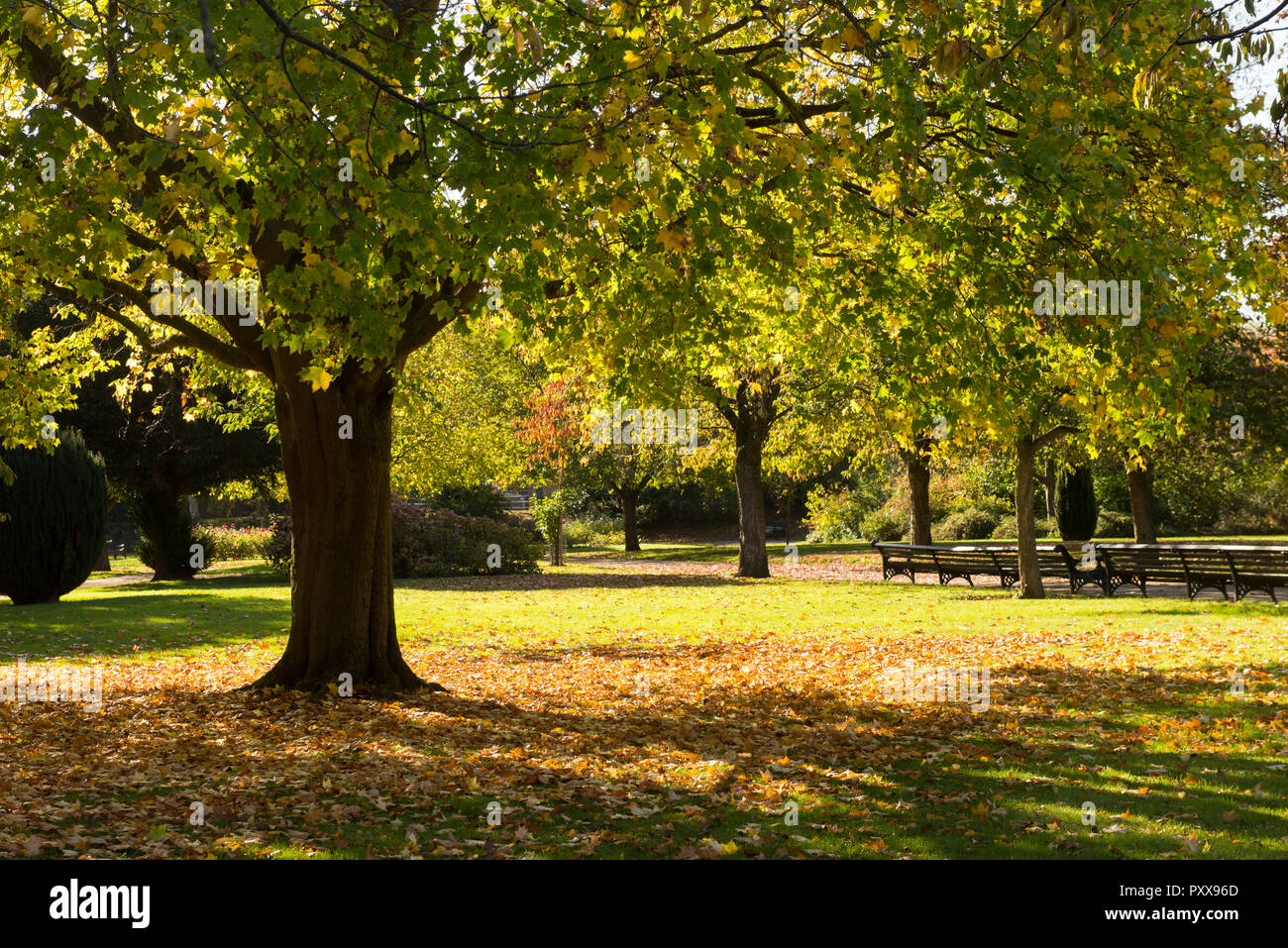 Bright sunny day at Victoria Embankment Memorial Park in Nottingham, Nottinghamshire England UK Stock Photo