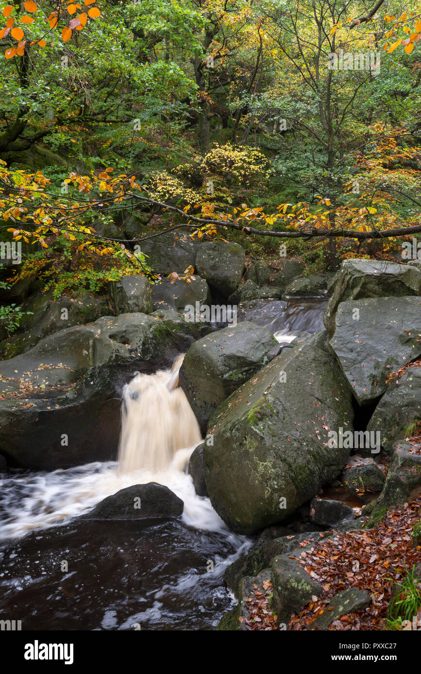 Waterfall at Burbage Brook in Padley Gorge, Peak District , Derbyshire, England. Stock Photo