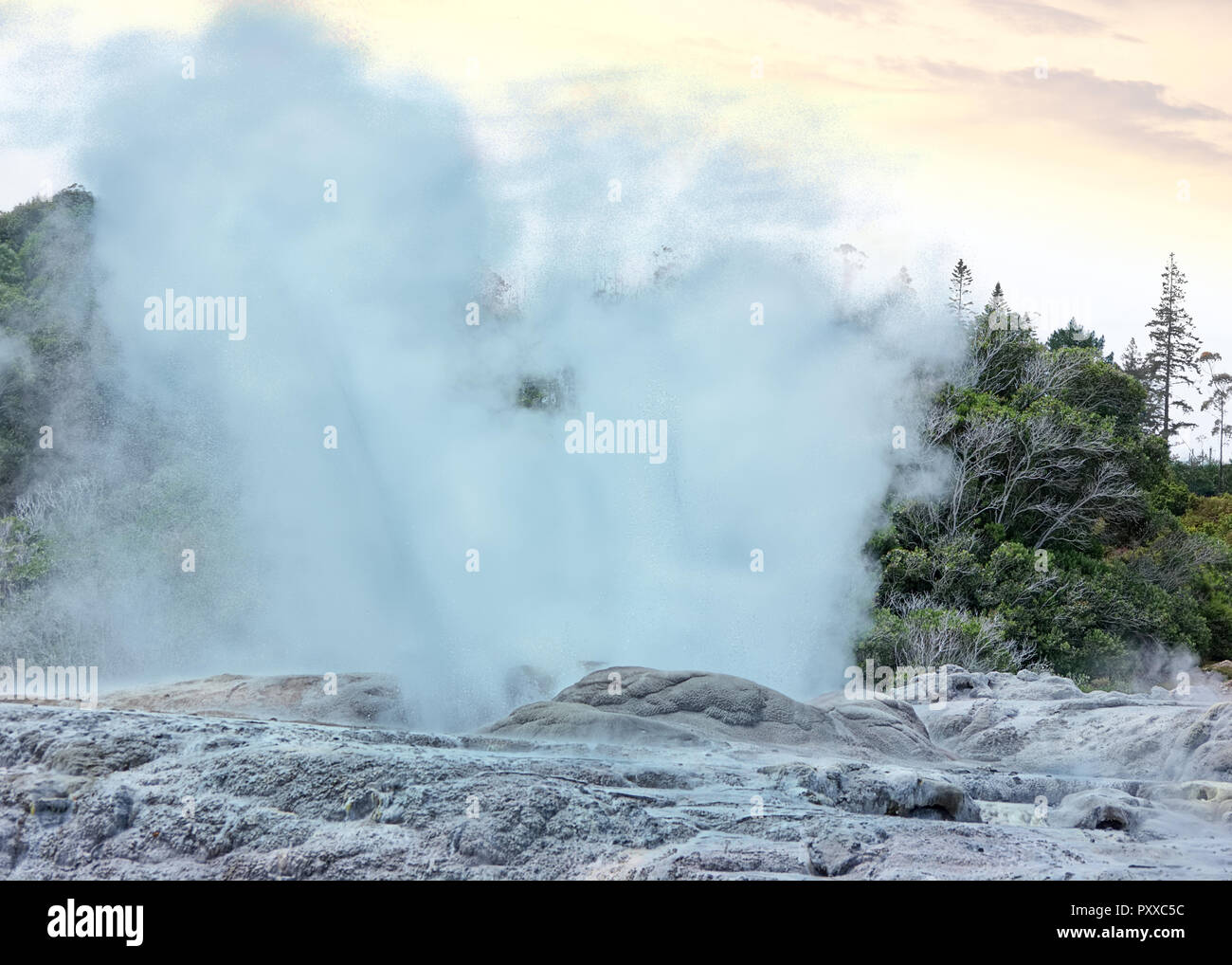Te puke hi-res stock photography and images - Alamy