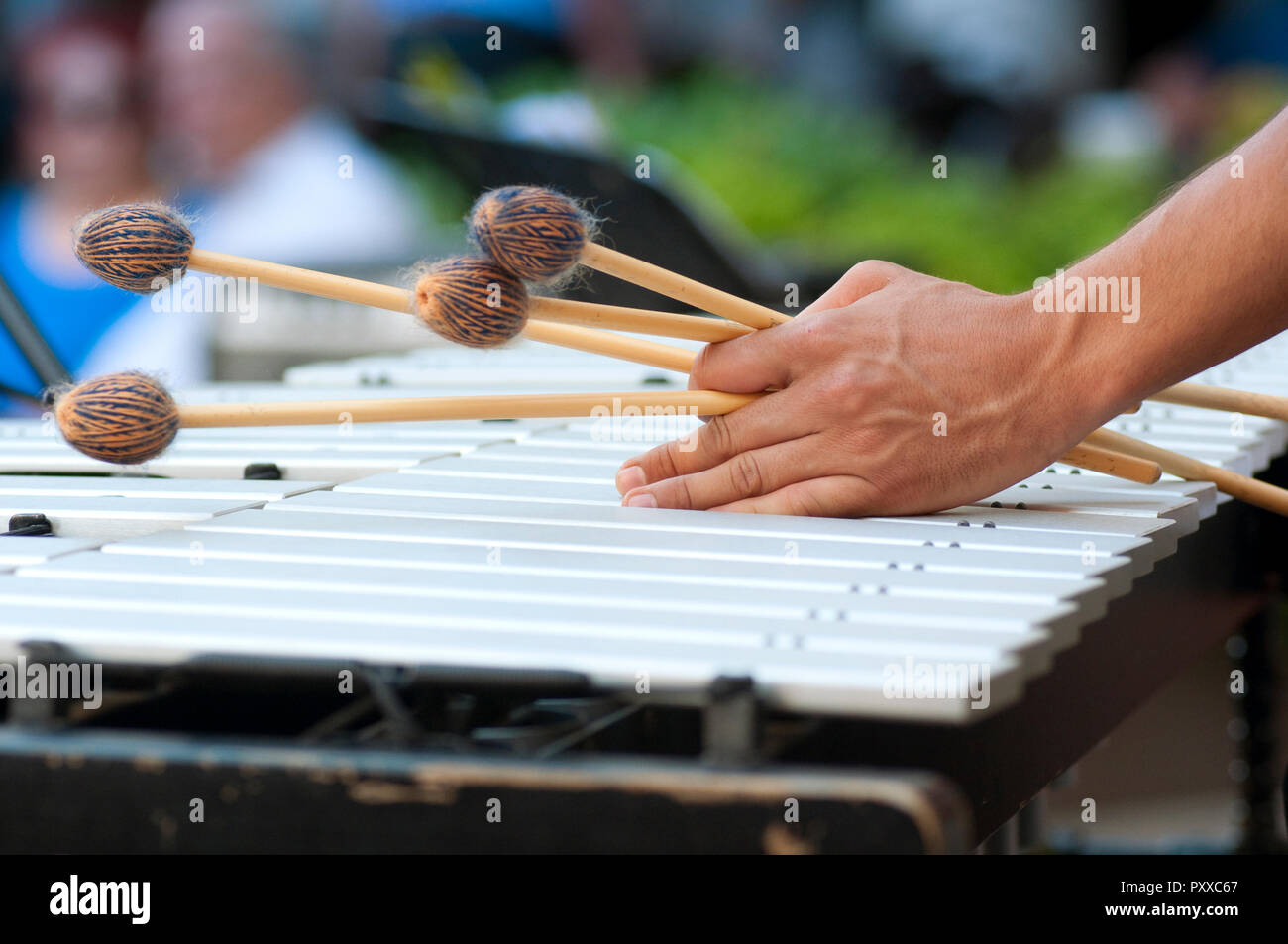 Xylophone Player Hands With Sticks Stock Photo Alamy