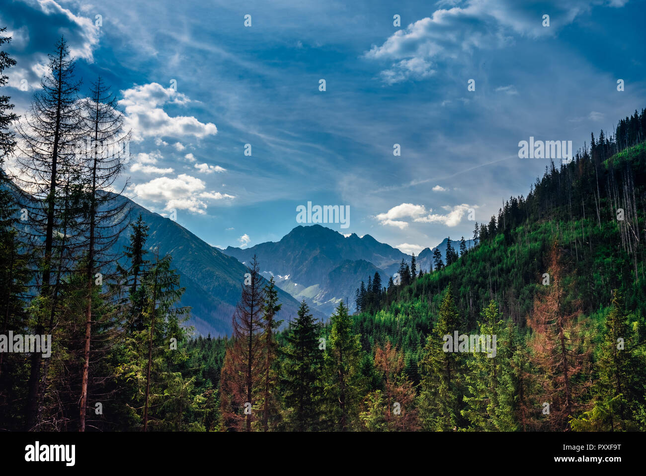 Dark and dramatic view on the mountain peak in the valley Stock Photo ...