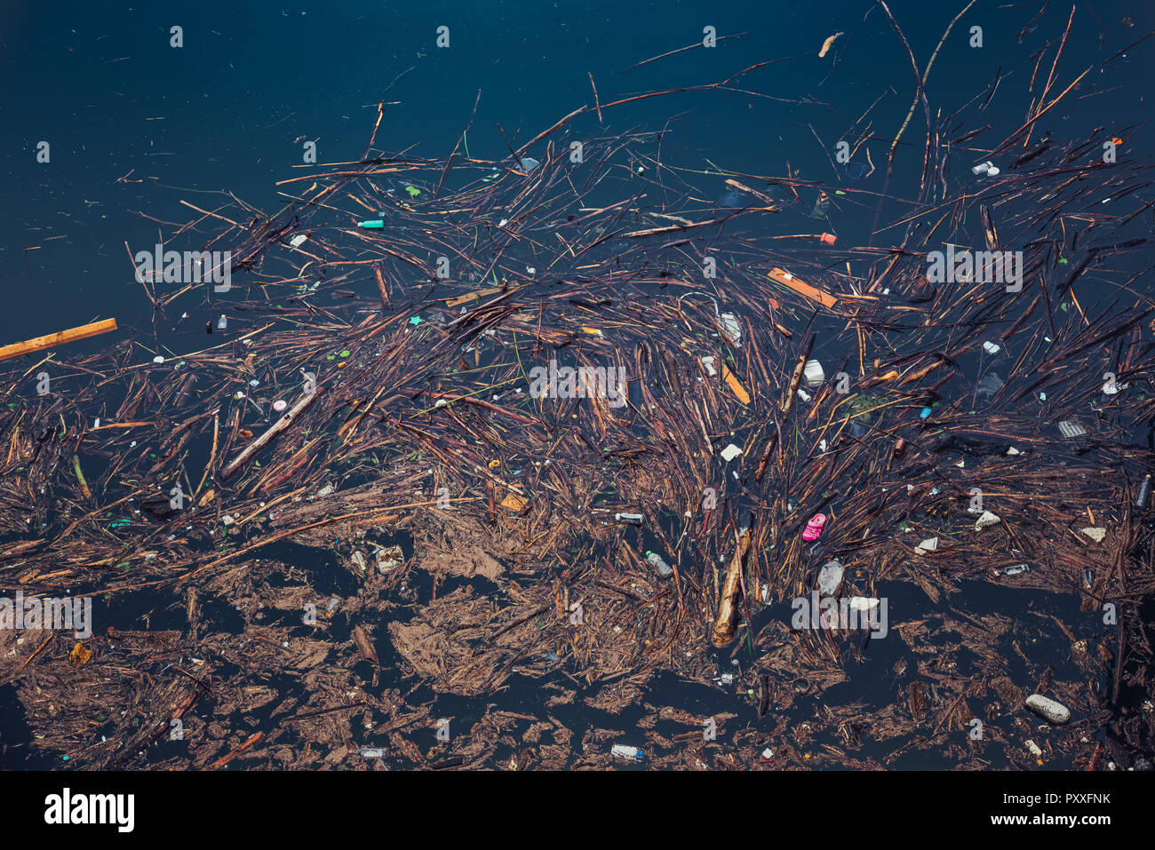 Water pollution. Contaminated water. Stock Photo