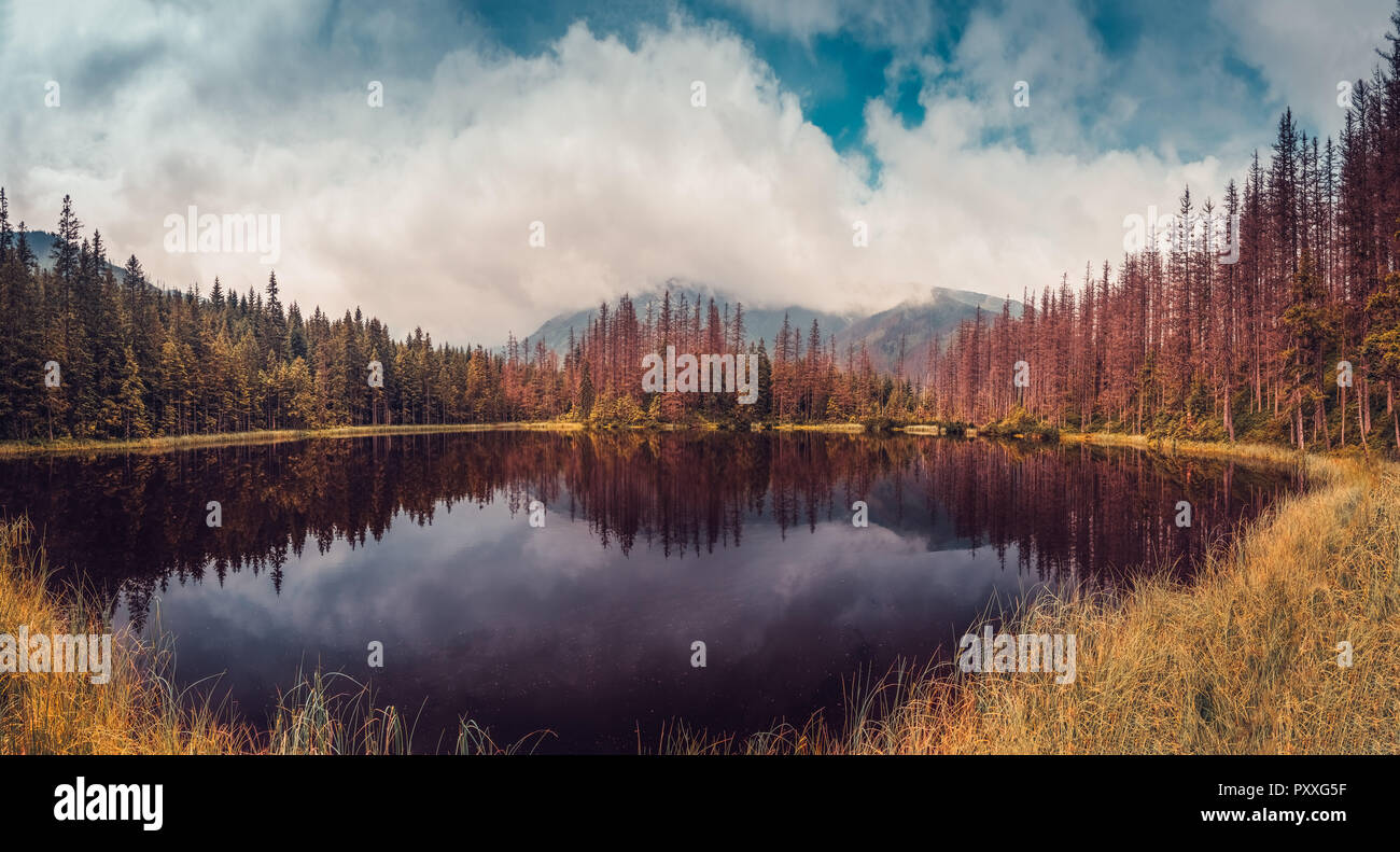 Panoramic view on the lake in the mountains during the autumn season with beautiful colors. Stock Photo