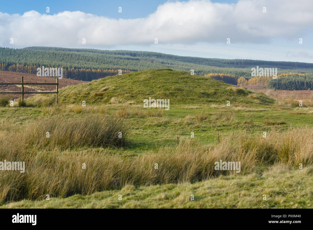 Dated 2000 bc hi-res stock photography and images - Alamy