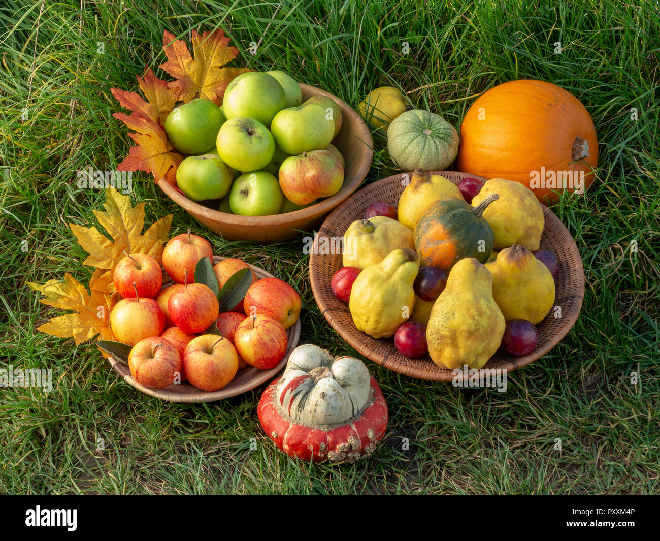 A selection of autumn fruits in bowls on a green grass background with leaf decorations Stock Photo