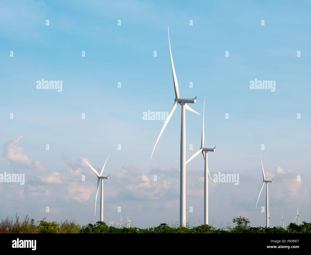 wind turbines field with blue sky background Stock Photo - Alamy