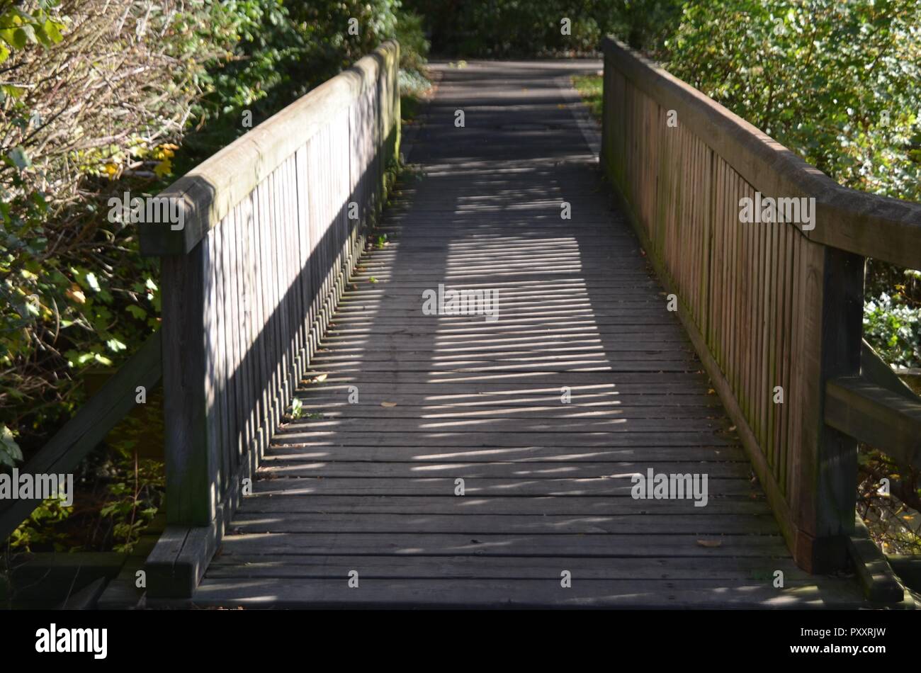 small bridge made of wood as simple construction in the nature between trees and bushes and leads as a symbol into the future, the next part of life,  Stock Photo
