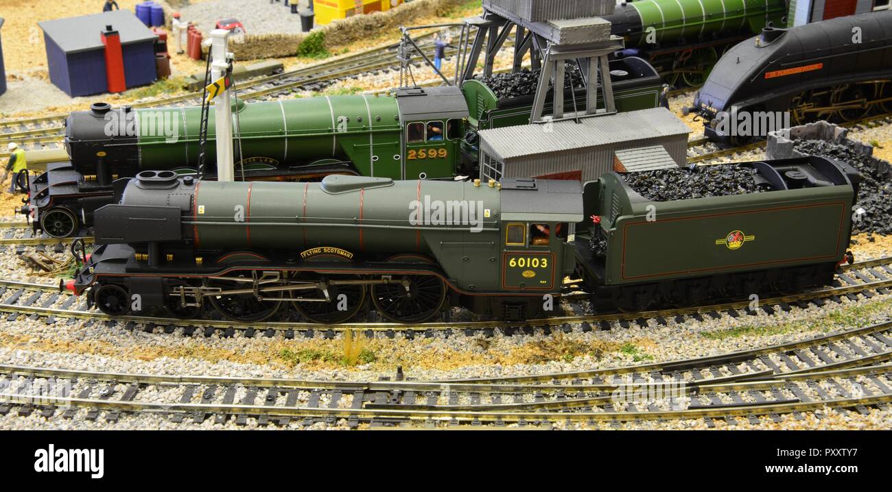 The Flying Scotsman in BR green. Stock Photo