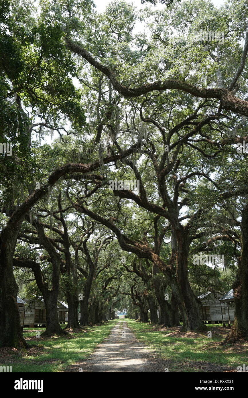 Django unchained location hires stock photography and images Alamy