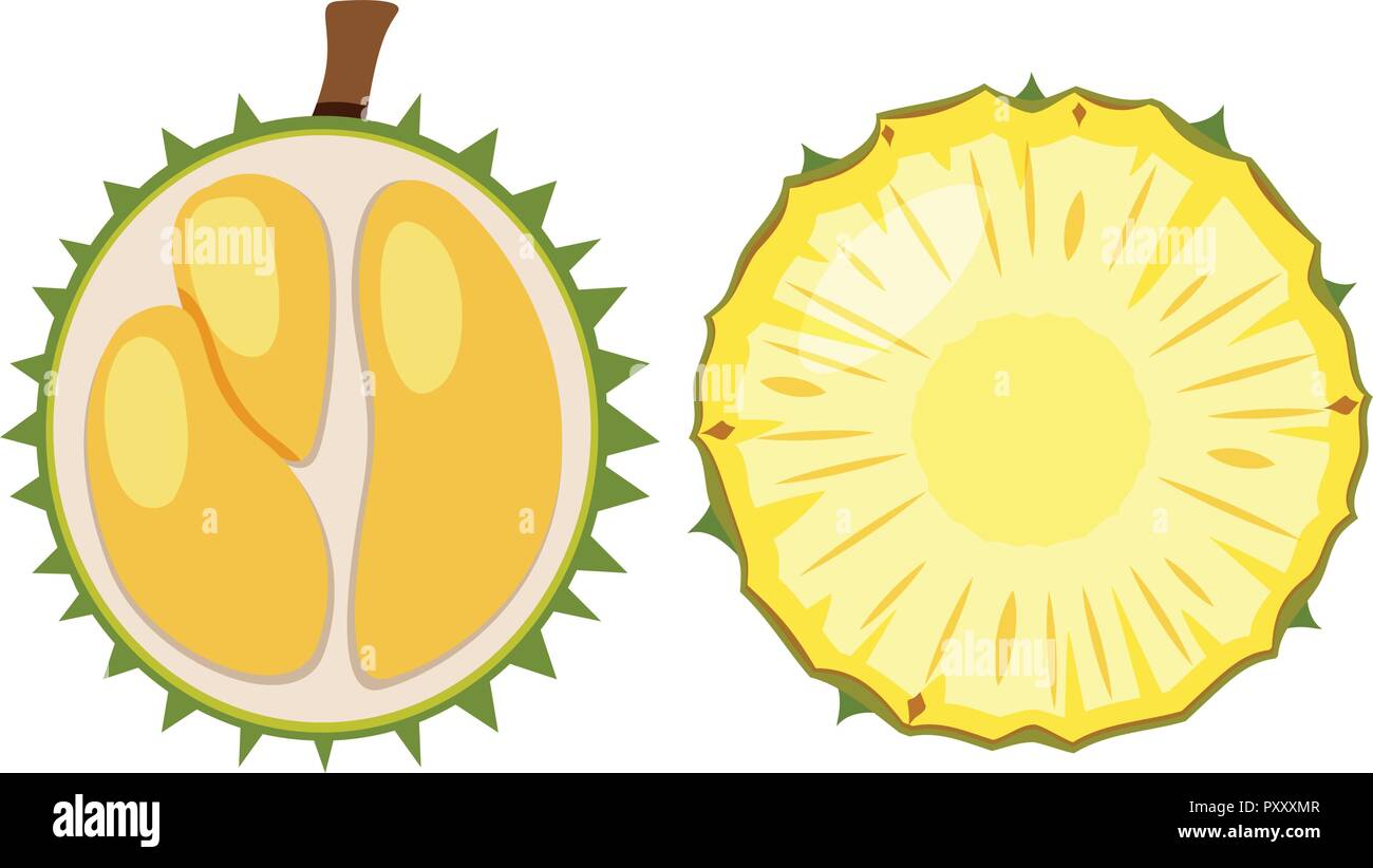 Durian and pineapple cut in half illustration Stock Vector