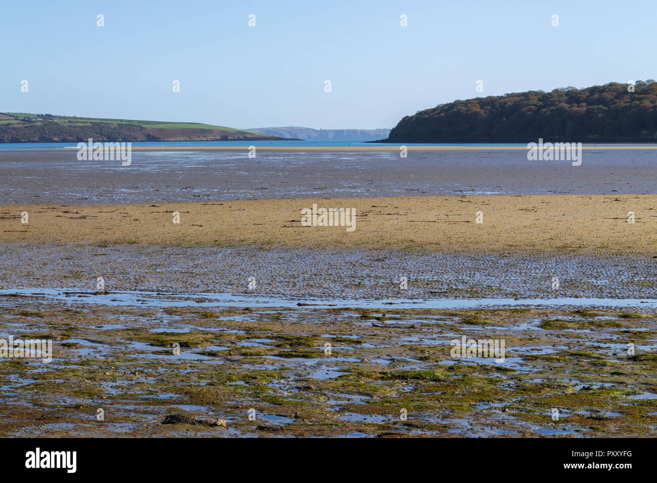 courtmachsherry estuary at low tide, west cork ireland Stock Photo