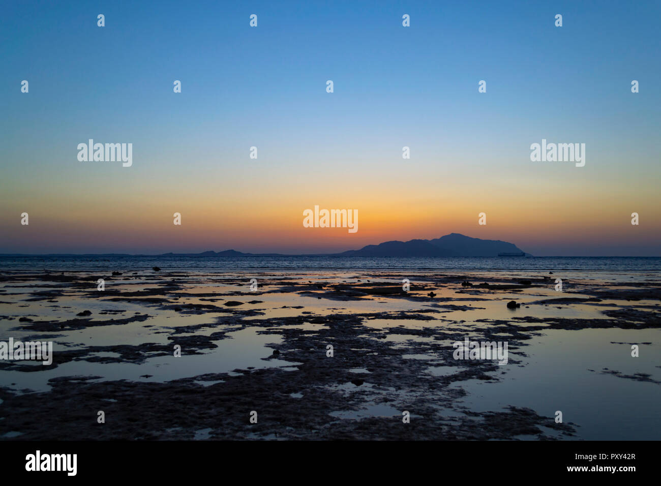 Red sea coral reef saudi hi-res stock photography and images - Alamy