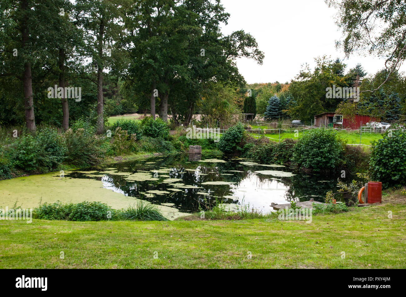 09.30.2018, Brackel, Germany: A small pond in autumn. Stock Photo