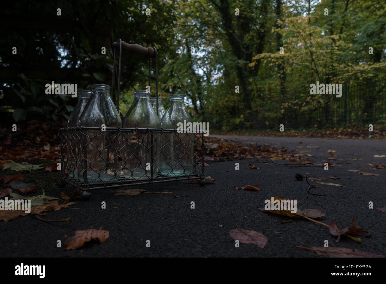 Empty milk bottles left outside for collection in autumn, UK Stock Photo