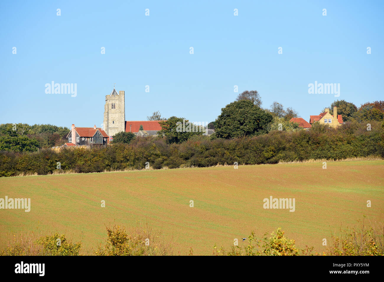 All Saints Church, Rettendon, Essex, UK. English countryside with field, hedges and trees. Blue sky with space for copy Stock Photo