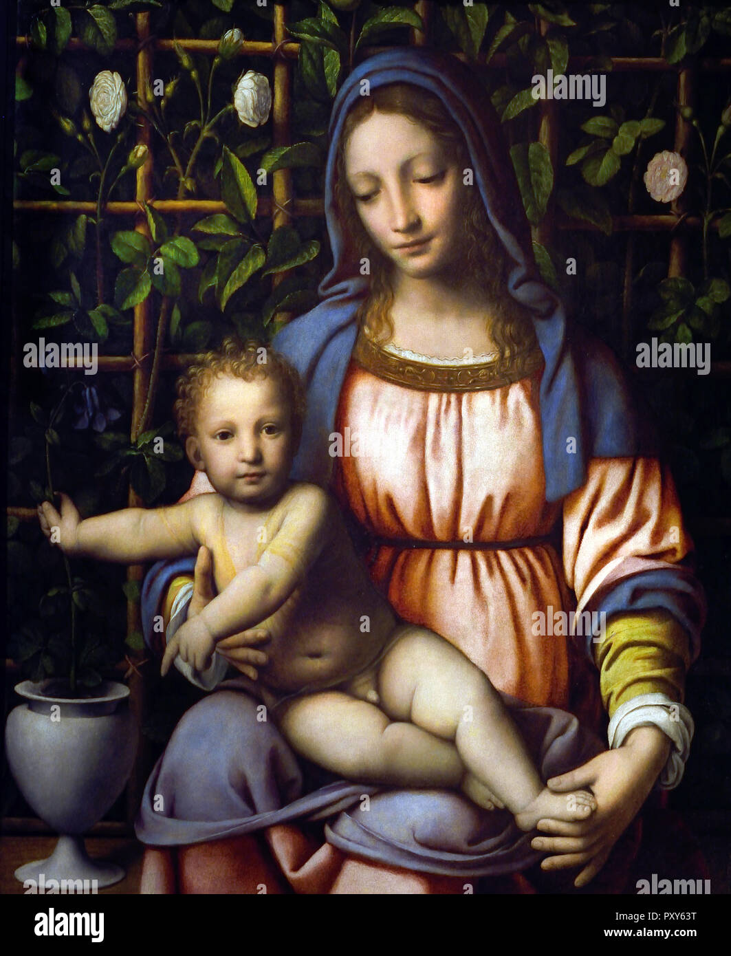 Madonna and Child (Madonna of the Rose-bush) 1500 -1510 by Bernardino Luini 15-16th Century Italy, Italian. Stock Photo