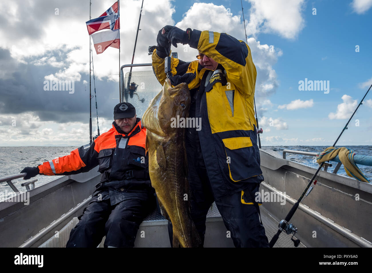 Weigh fish hi-res stock photography and images - Alamy