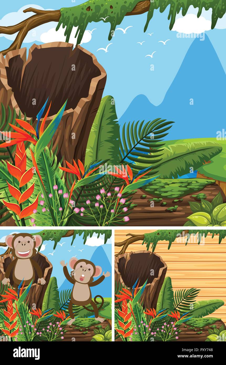 Scenes with monkeys in the forest illustration Stock Vector Image & Art ...