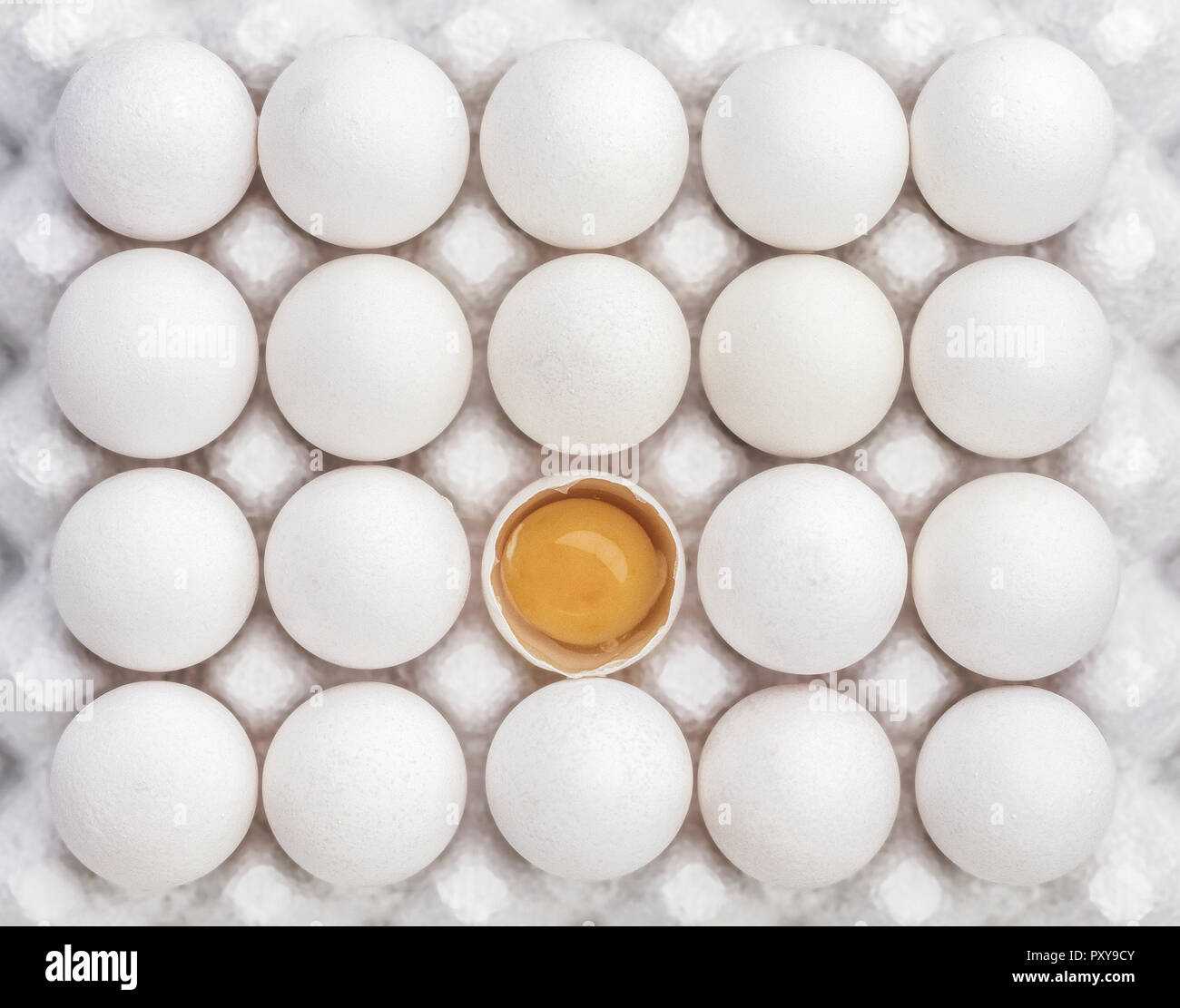 Eier im Karton Stock Photo