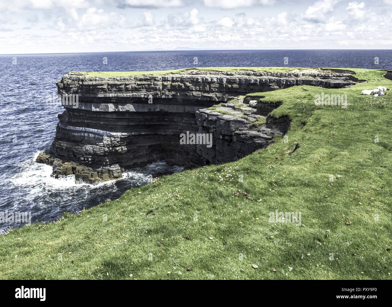 Irland, gruene Wiesen an Steilkueste Stock Photo