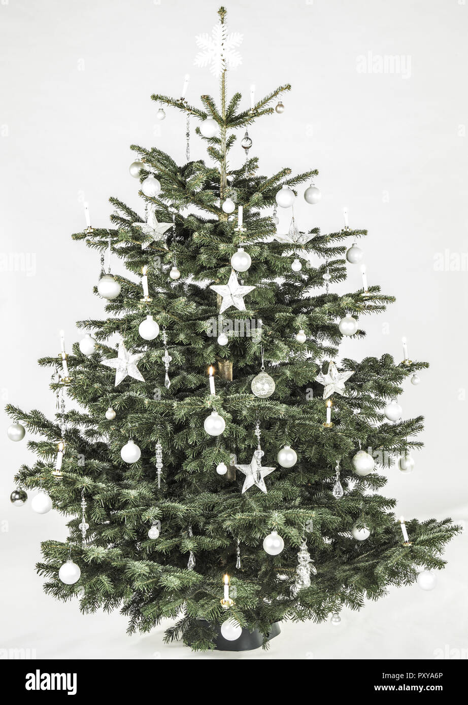 Weihnachtsbaum, weiss geschmueckt Stock Photo