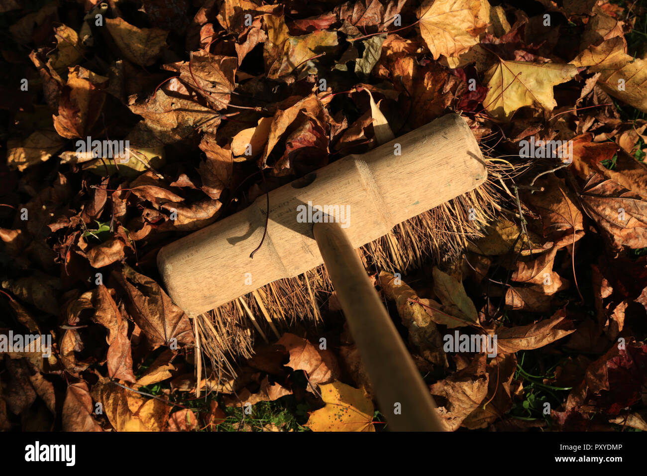Sweeping Flower Sweeping autumn leaves hi-res stock photography and images - Alamy